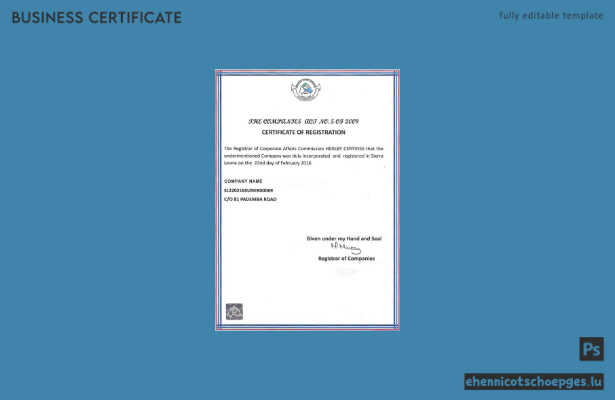 Sierra Lione – Beispielvorschau für eine Registrierungsbescheinigung